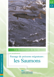 L2.C3 - Passage de poissons migrateurs : les Saumons (2002) L2.C3 - Passage de poissons migrateurs : les Saumons (2002)