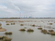 Pour (ré)écouter l'intervention du GIP Loire Estuaire de ce midi sur France Bleu, rendez-vous sur le lien ci-dessous :