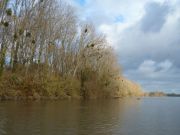 Le bouchon vaseux illustré par le GIP Loire Estuaire, à la webTV de Saint-Sébastien-sur-Loire