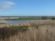 Etier de Lavau et marais estuariens où alternent prairies et roselières