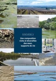 L'essentiel sur la Loire, de la Maine à la mer - Synthèse 5