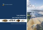 Les poissons dans l'estuaire de la Loire