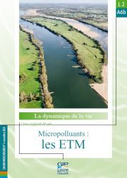 Nouvelle fiche de synthèse : L2A6b - Micropolluants : les ETM