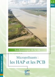 Nouvelle fiche de synthèse : L2A6c - Micropolluants : les HAP et les PCB