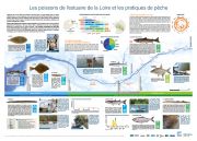 Nouveau : "Les poissons de l'estuaire de la Loire et les pratiques de pêche" 