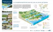 "L'Essentiel sur la Loire" s'expose au colloque " Erdre Vivante "