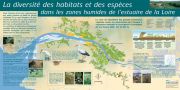 La diversité des habitats et des espèces dans les zones humides de l'estuaire de la Loire