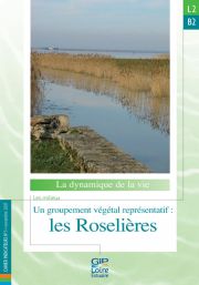 L2.B2 - Un groupement végétal représentatif : les roselières (2007)