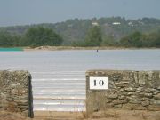 Maraîchage dans le lit de la Loire au niveau de la bouchure n°10 de la levée de la Divatte