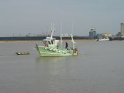 Pêche à la civelle dans l'estuaire de la Loire