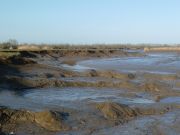 Vasière découverte à marée basse dans l'estuaire de la Loire