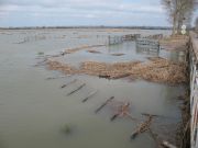 Marais sous l'eau après le passage de la tempête Xynthia du 28 février 2010, Chemin des Carris