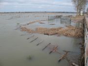 Marais sous l'eau après le passage de la tempête Xynthia du 28 février 2010, Chemin des Carris