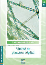 L2.A4 - Vitalité du plancton végétal (2005)