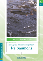 L2.C3 - Passage de poissons migrateurs : les Saumons (2002)