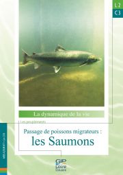 Nouvelle fiche de synthèse : L2C3 - Passage de poissons migrateurs : les Saumons