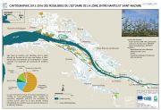 Cartographie 2013-2016 des roselières de l'estuaire de la Loire, entre Nantes et Saint-Nazaire