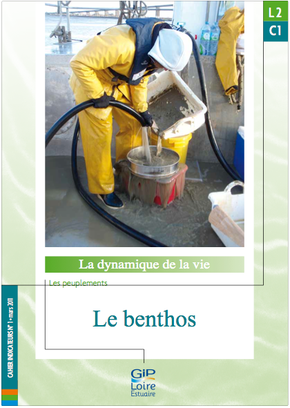 51870 4088 L2C1 benthos BD large